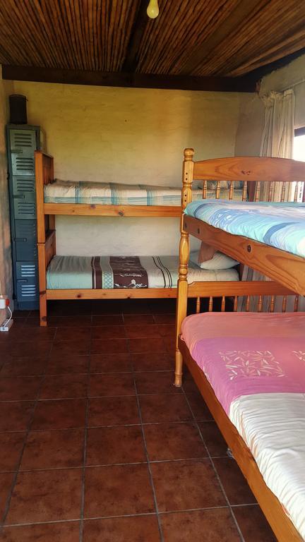 The Wild Farm Backpackers Hostel Wilderness Ngoại thất bức ảnh