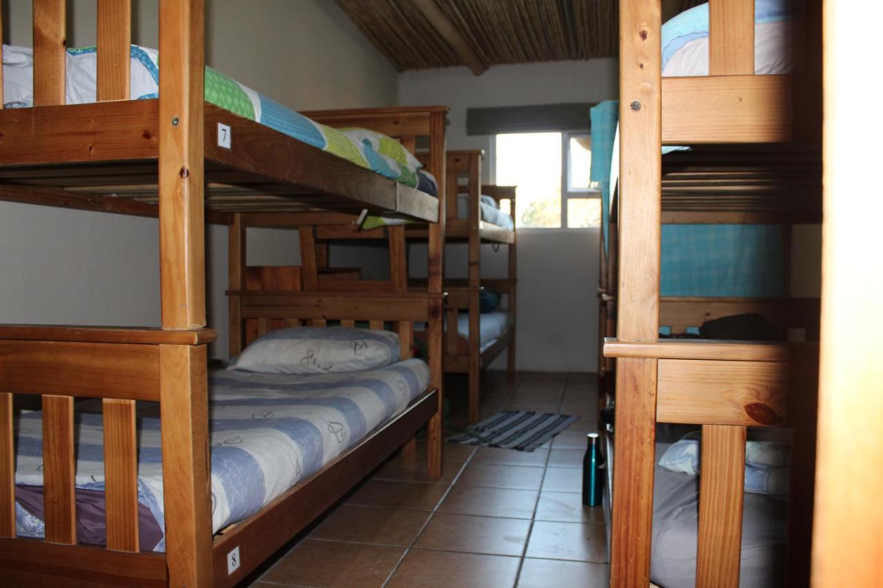 The Wild Farm Backpackers Hostel Wilderness Ngoại thất bức ảnh