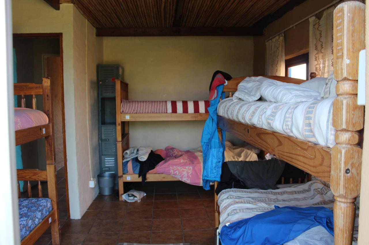 The Wild Farm Backpackers Hostel Wilderness Ngoại thất bức ảnh